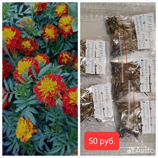 Семена бархатцев, циний, базилика, салата, кинзы