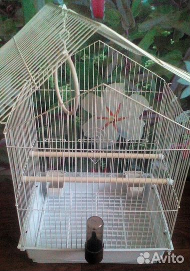 Клетка вс 47см