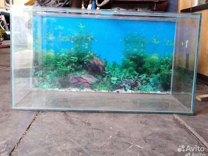 Аквариум