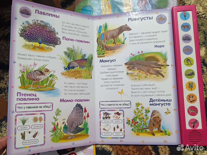 Музыкальная книга