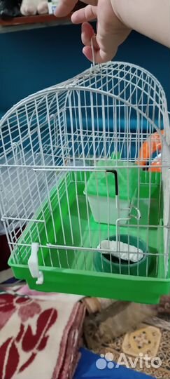Клетка для хомяков бу