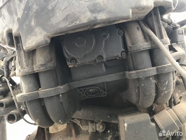 Двигатель 1.4л., AEX, Фольксваген, seat