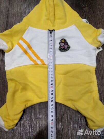 Одежда для маленьких собак