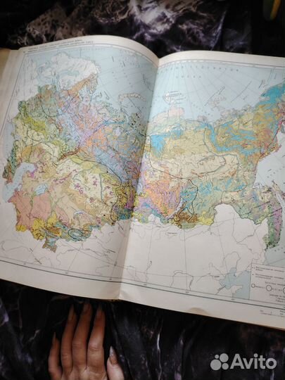 Атлас лекарственных растений СССР