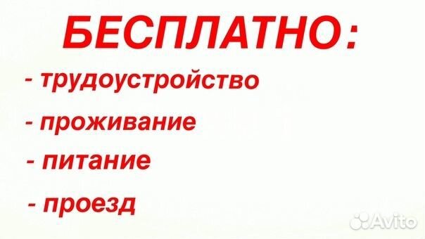 Упаковщик конфет красный октябрь вахта Москва