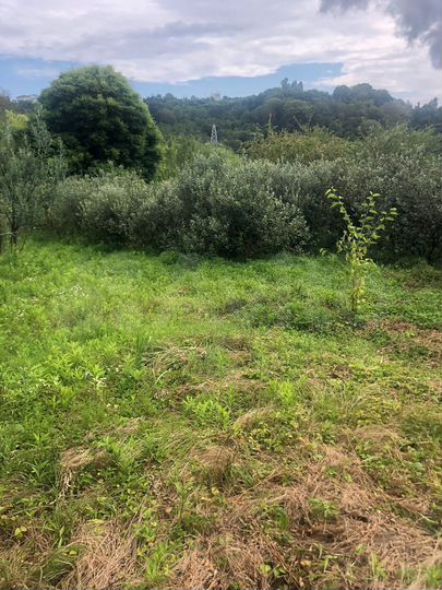 Участок 8 сот. (ИЖС)