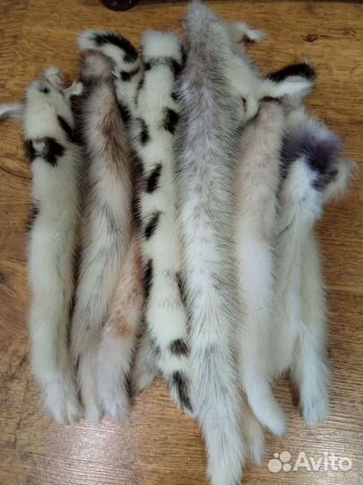 Хвосты норки