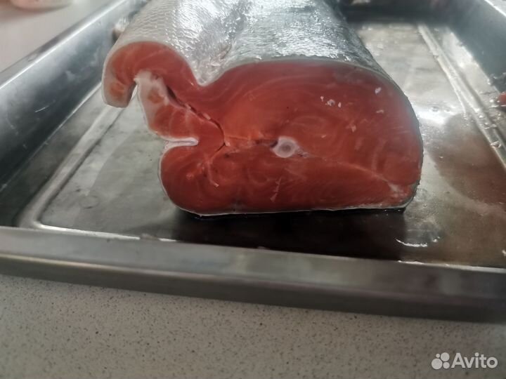 Рыба кижуч