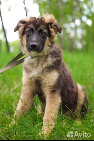 Малыш ждет маму