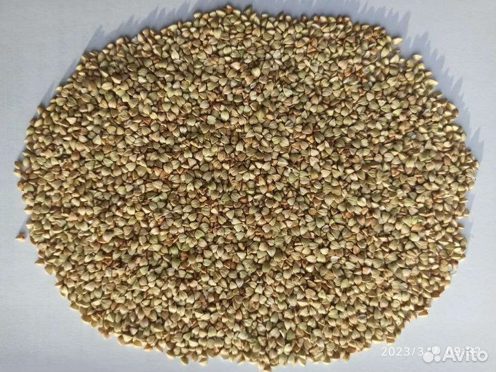 Зеленая гречка