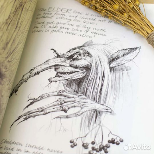 Книга Феи Браяна Фрауда Faeries Brian Froud
