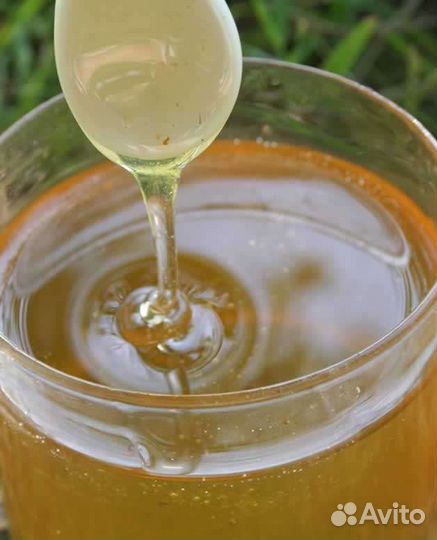 Мед натуральный 2022 года