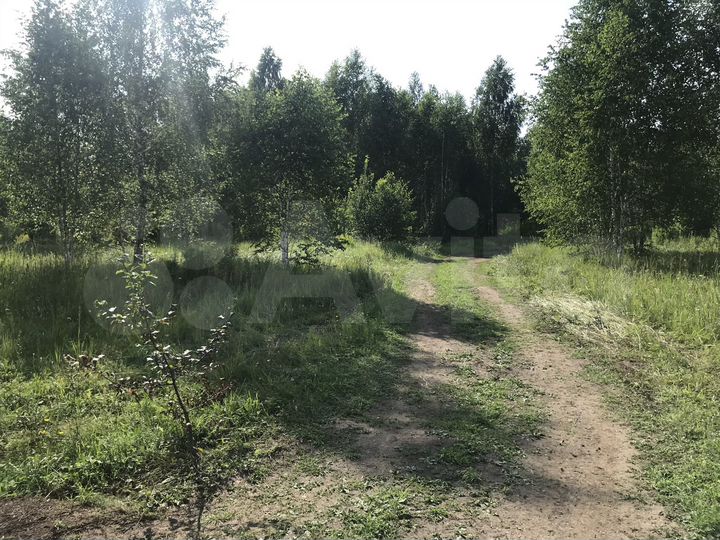 Участок 15 сот. (ИЖС)