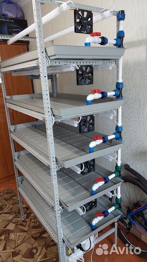 Стеллаж для микрозелени, гидропоника рассада цветы