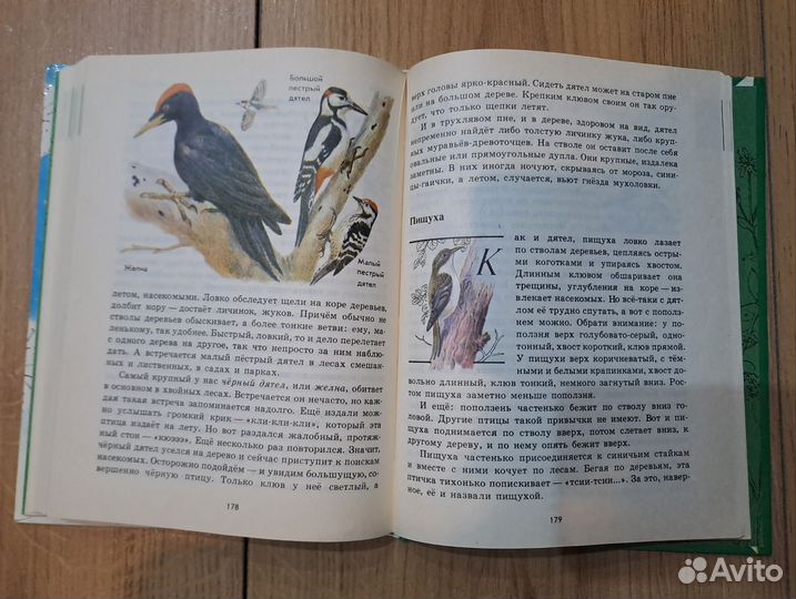 Зеленые страницы А.А. Плешаков