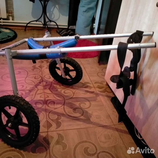 Ходунки для собак