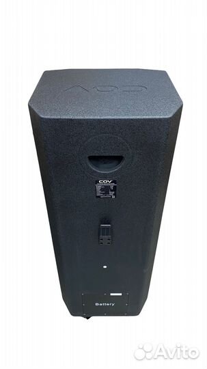 Проф. портативная акустическая система CV169