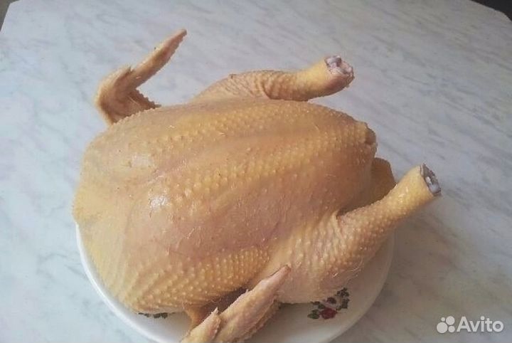 Курица Оптом