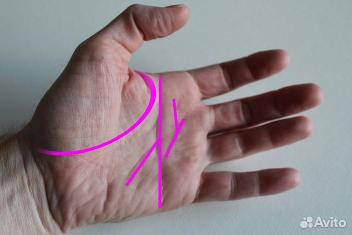 Хиромантия,астрология,таро,нумерология,обучение