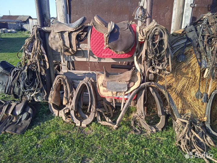 Все для лошади