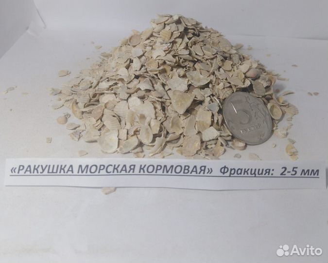 Ракушка морская кормовая оптовые поставки