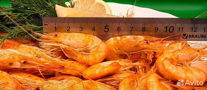 Азовская креветка. Свежий вылов