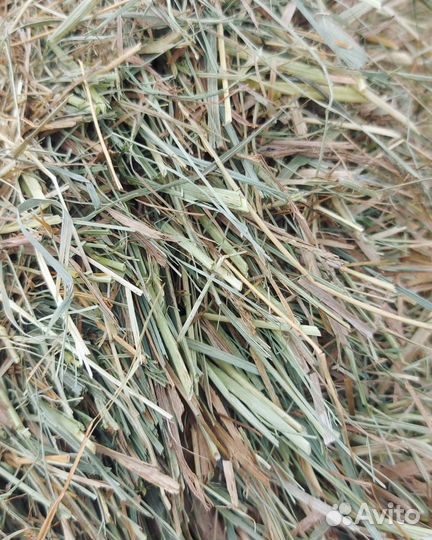 Сено солома в тюках