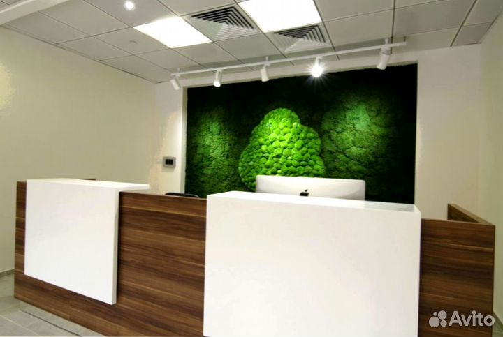 Ресепшен для спа-салонов