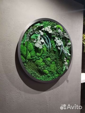 Мох стабилизированный фитокартина круг из мха