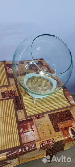 Аквариум-террариум