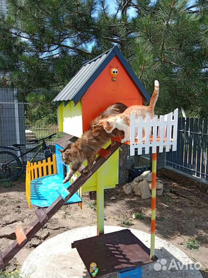 Домик для кошки