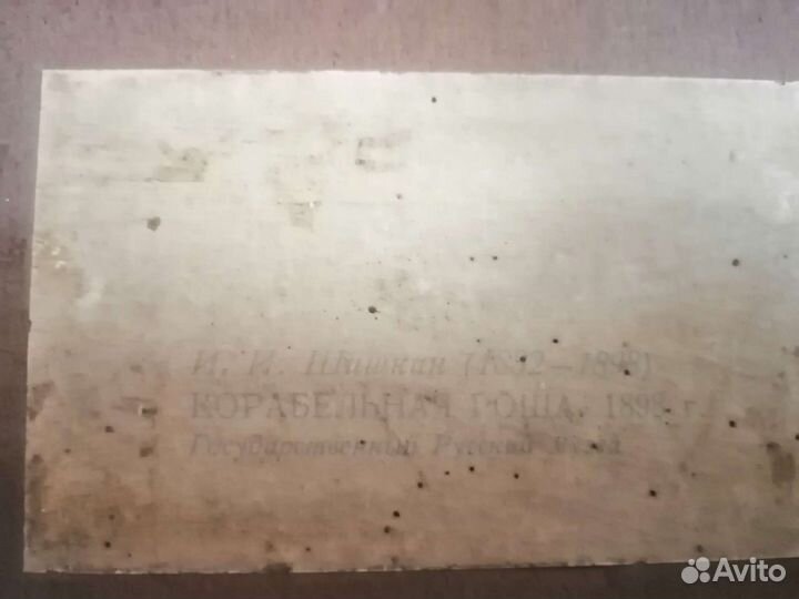 И. И. Шишкин. Корабельная роща 1898. Картина 1961