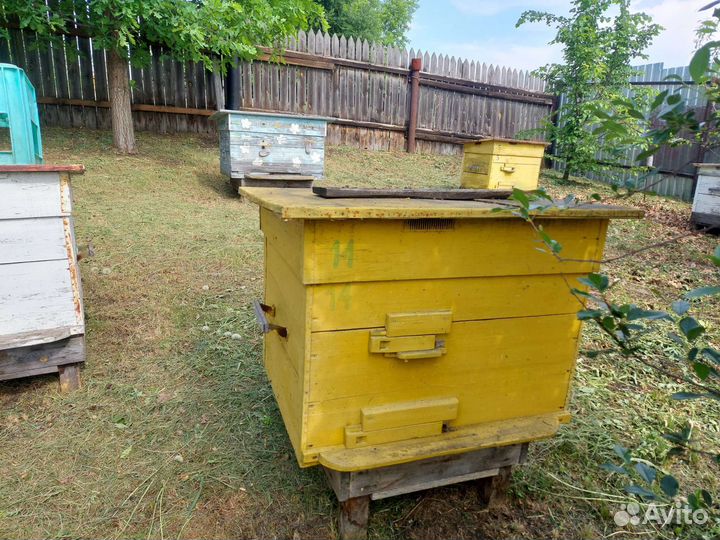 Улей для пчел бу