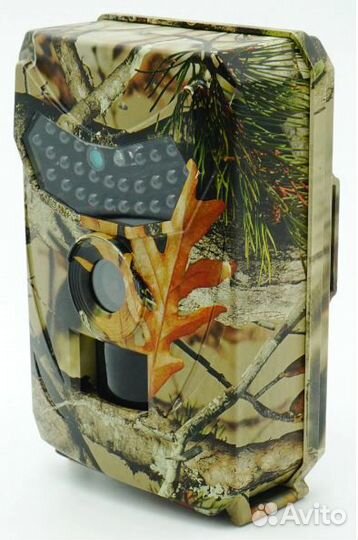 Фотоловушка Филин