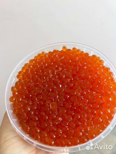 Красная икра 2023
