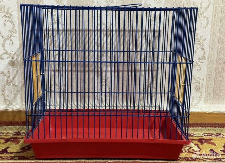 Крыски Сфинкс