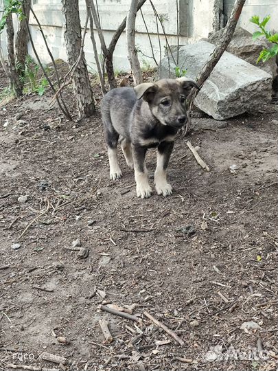 Подари малышам дом