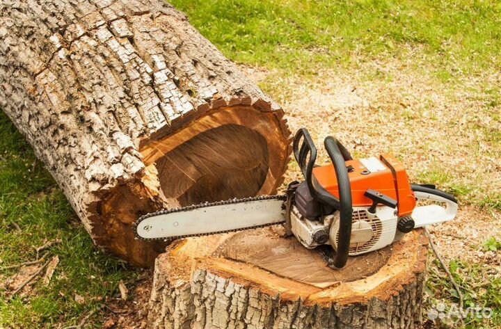 Услуги разнорабочих