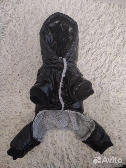 Одежда для собачек