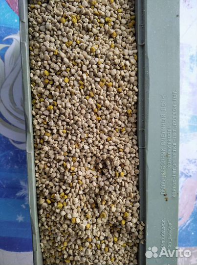 Мёд урожая 2023 года