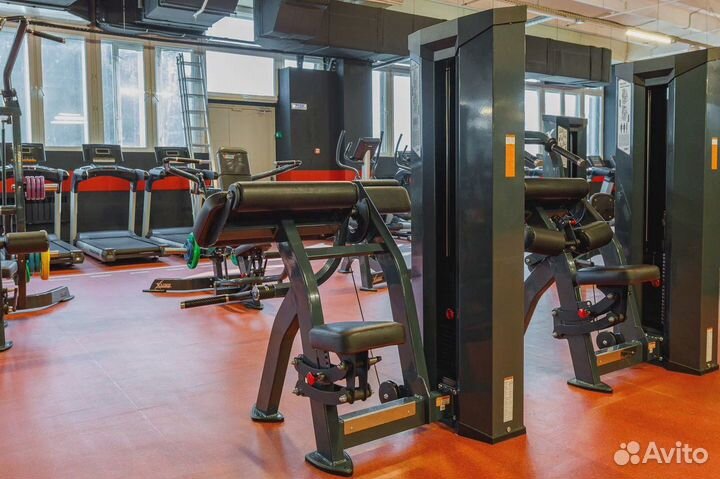 XR106 бицепс-машина X-line R