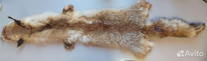 Шкурка лисы