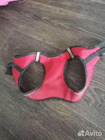 Шлейка для маленькой собаки