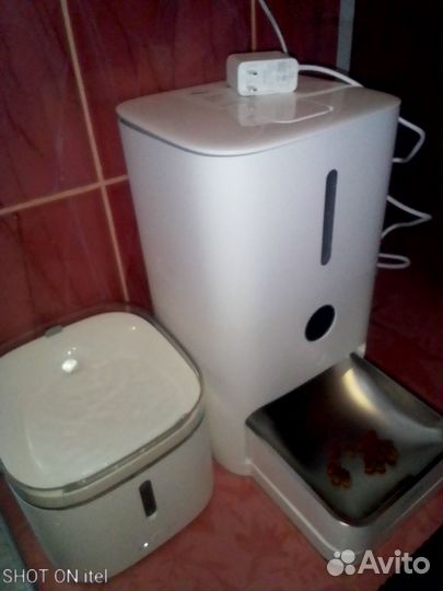 Умная автокормушка и автопоилка