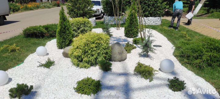 Покос травы Газон Обработка от сорняков