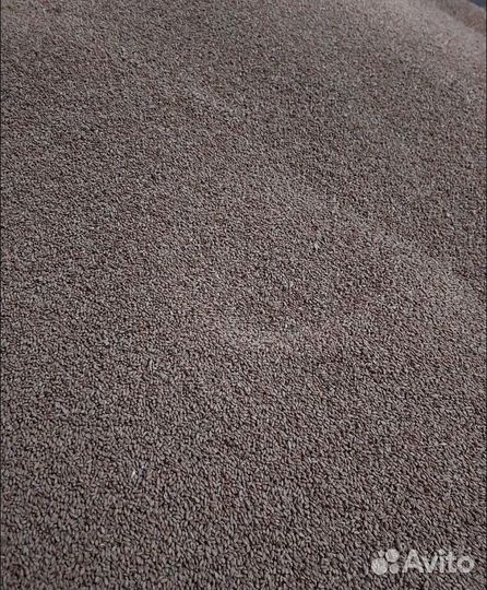 Гречиха, Рожь озимая на корм/посев