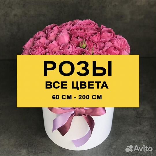 Розы цветы 21 31 51 ароматная роза