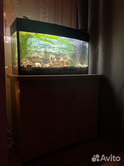 Аквариум