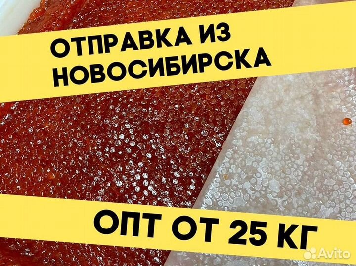Икра красная нерки, улов июнь 2023 года