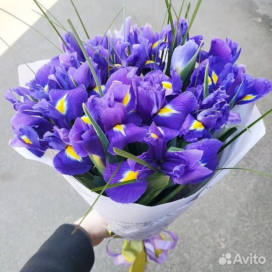 WOW Букет из Ирисов